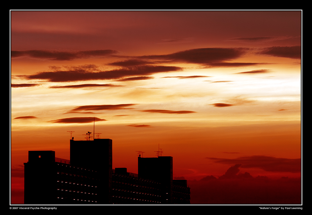 IMG_1393c_framed_sRGB_25.jpg