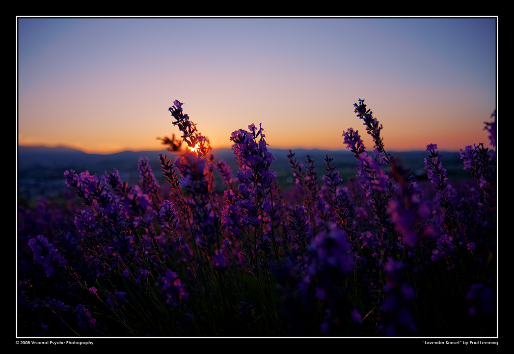 IMG_7537a_framed_sRGB_25.jpg