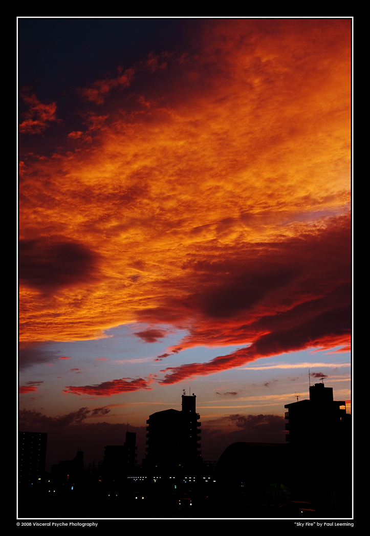 IMG_8687a_framed_sRGB_25.jpg