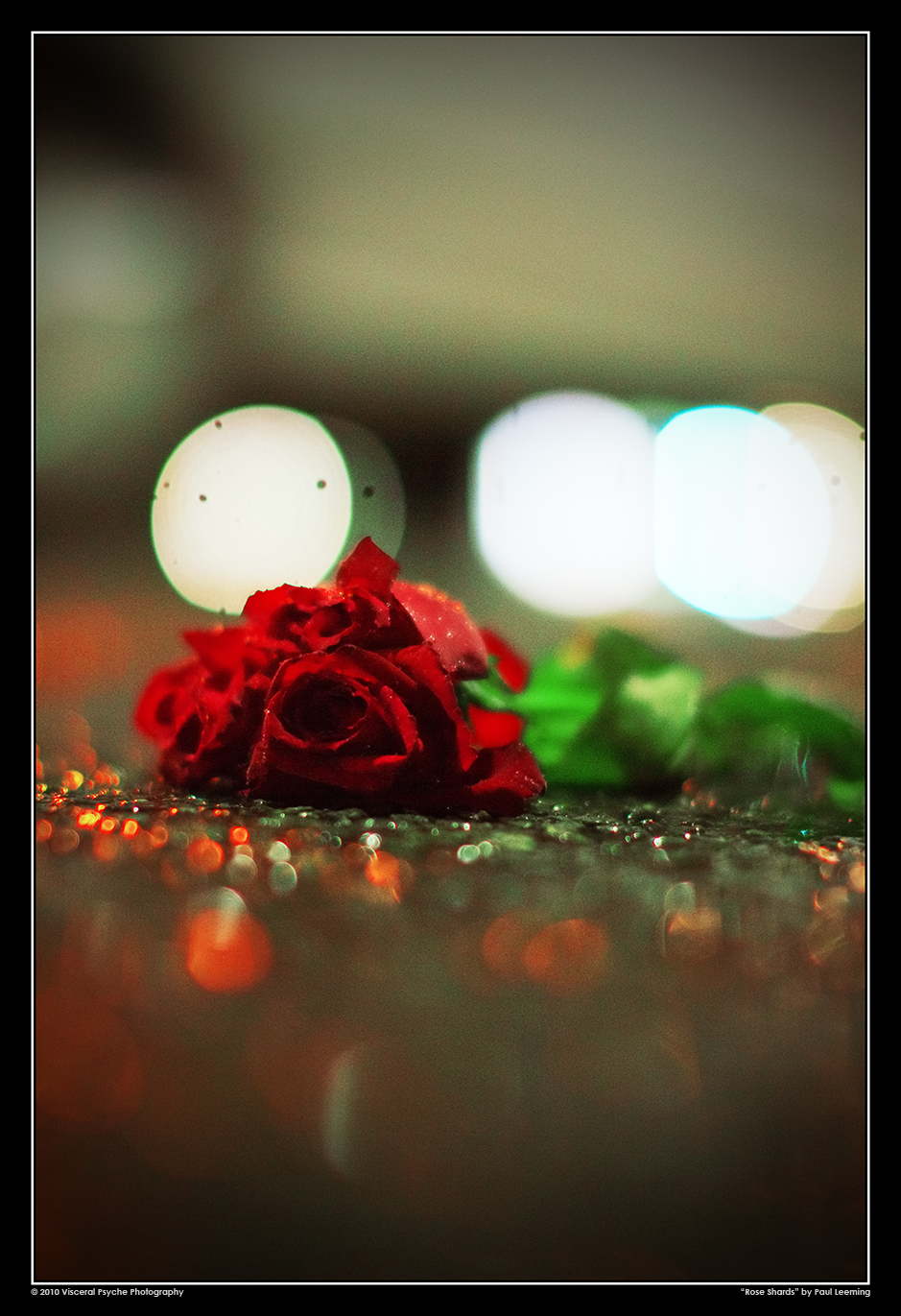 IMG_9827a_framed_sRGB_25.jpg