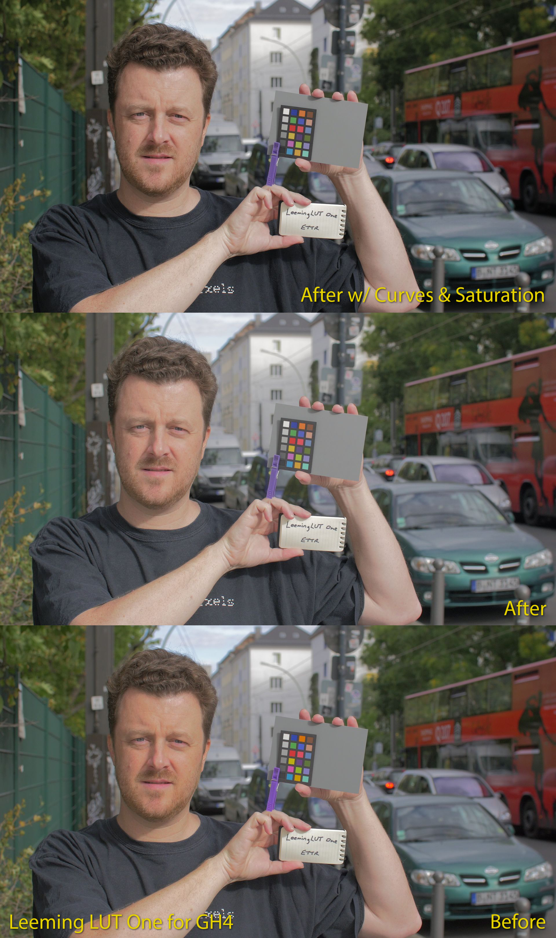 LeemingLUTOne_Before_After_Example.jpg