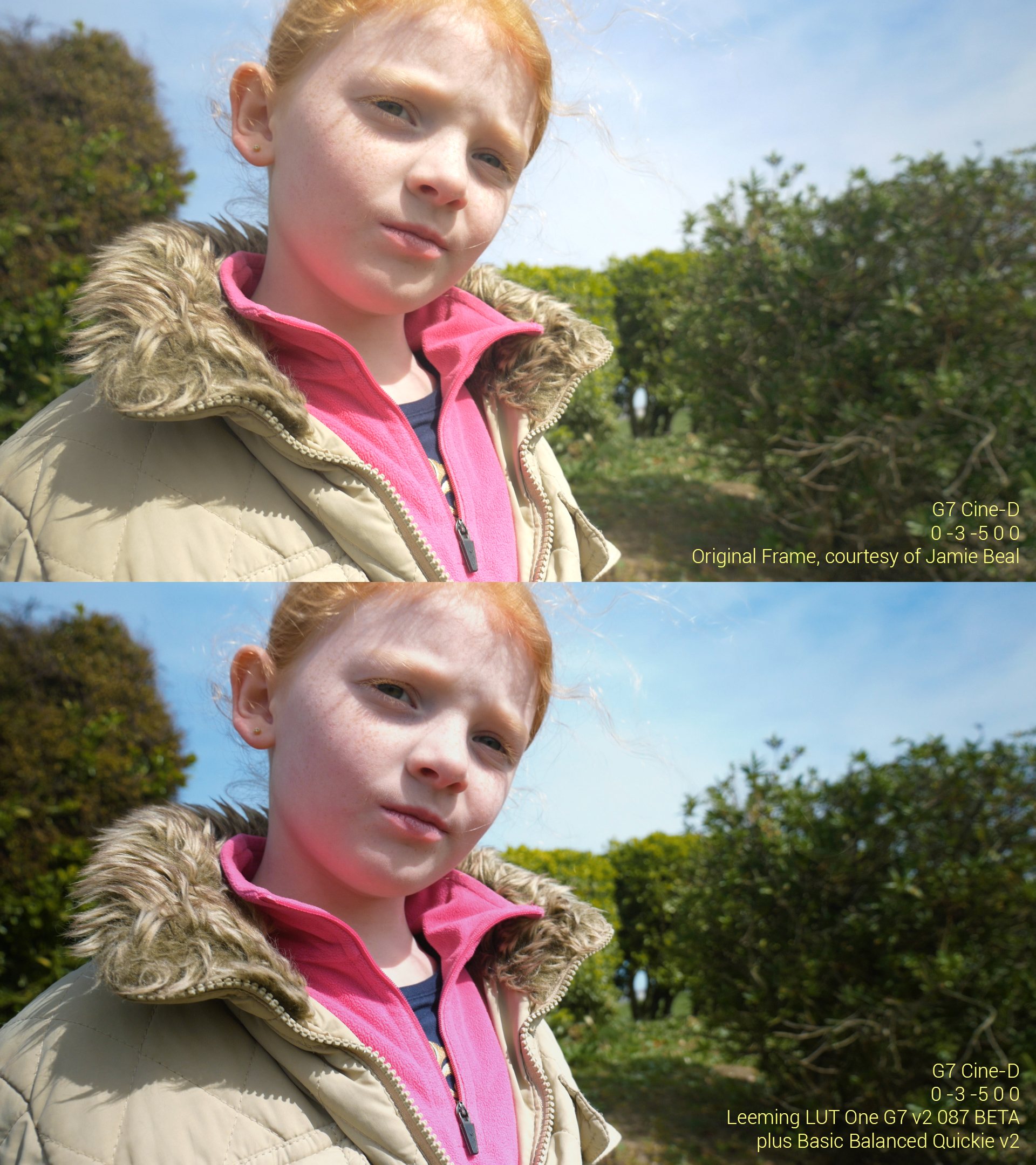 Leeming_LUT_One_G7_v2_087beta_Sample.jpg