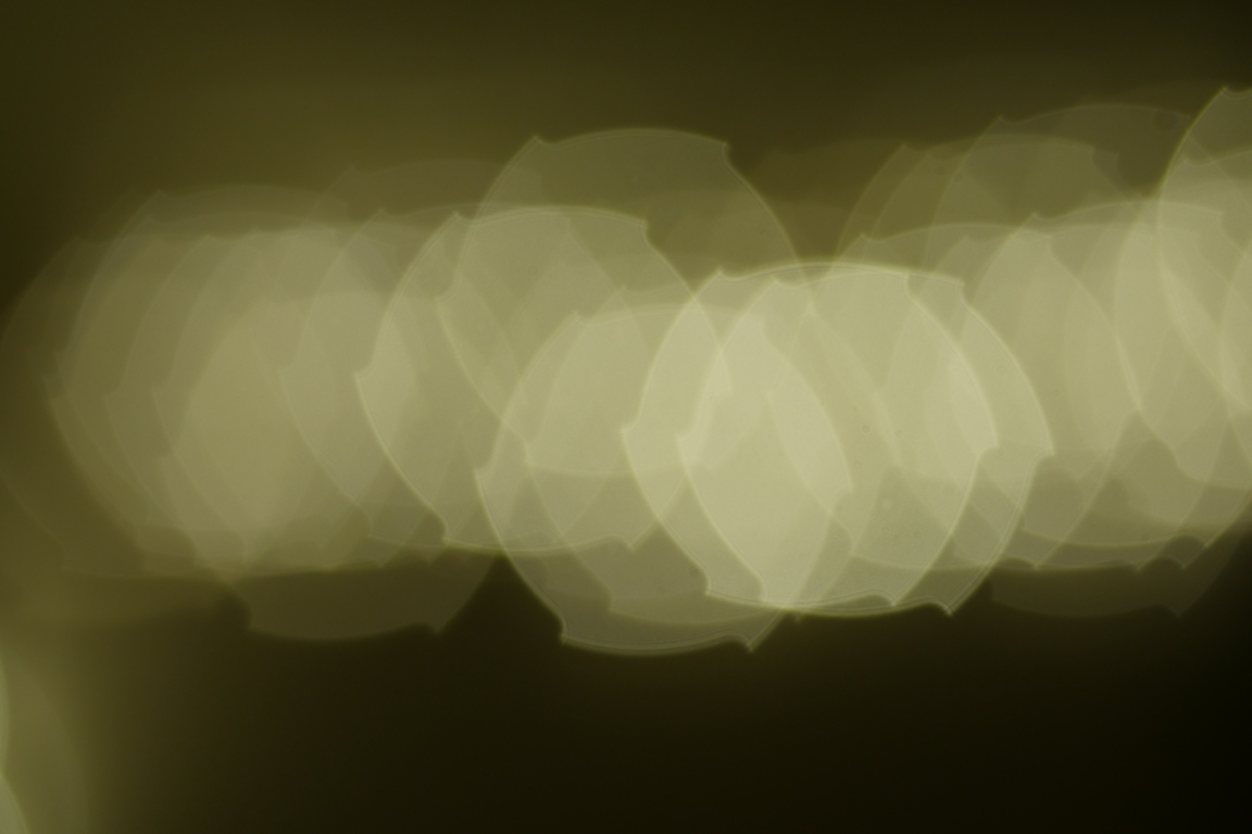 P1030828s.jpg